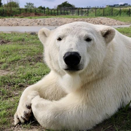 Chic 2 Bed Peak District Cottage Barn Near Alton Towers, Polar Bears, Chatsworth House Leek Bagian luar foto