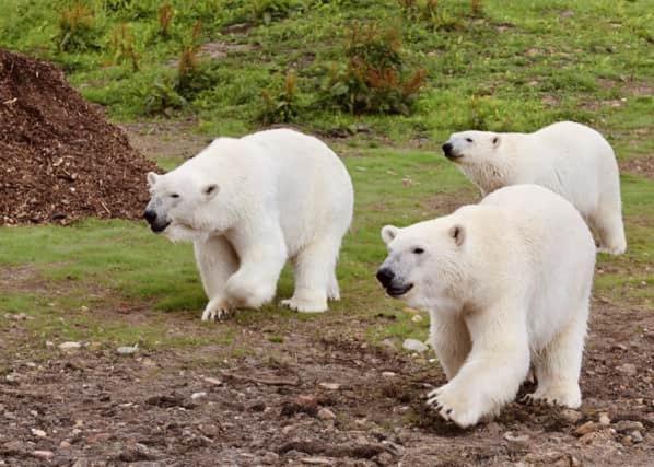 Chic 2 Bed Peak District Cottage Barn Near Alton Towers, Polar Bears, Chatsworth House Leek Bagian luar foto