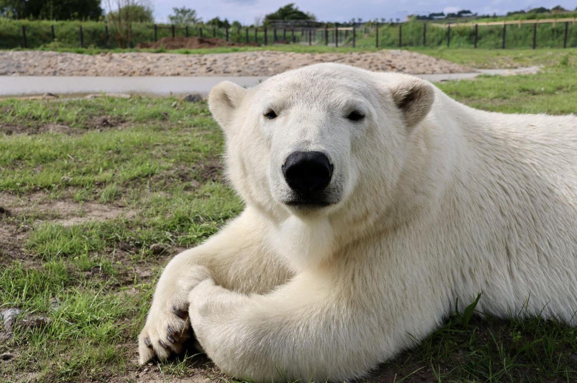 Chic 2 Bed Peak District Cottage Barn Near Alton Towers, Polar Bears, Chatsworth House Leek Bagian luar foto
